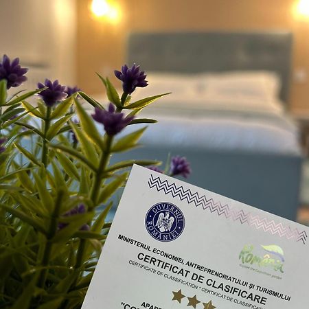 Central Cosy Apartment Cluj-Napoca Eksteriør billede